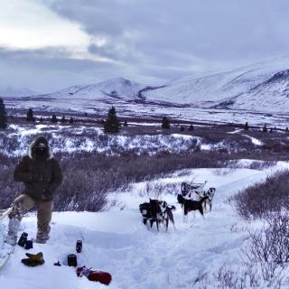 Travelling through endless wilderness