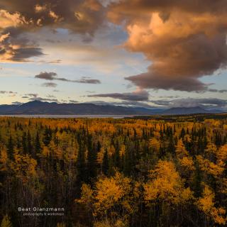 Indian Summer photography tour by Beat Glanzmann