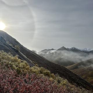 mist