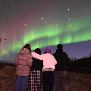 Fours guests chasing Northern Lights under clear skies