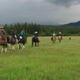 A group of people on a horsepacking adventure