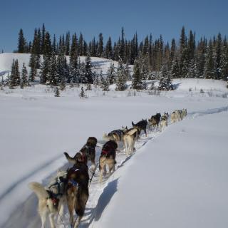 20090307_145618152_ - Copy.JPG