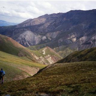 Dickson Outfitters.jpg