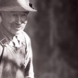 Whitehorse with a French touch.jpg