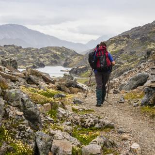chilkoot hiker on trail sm.jpg