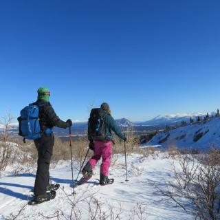 Snowshoeing Yukon.jpg