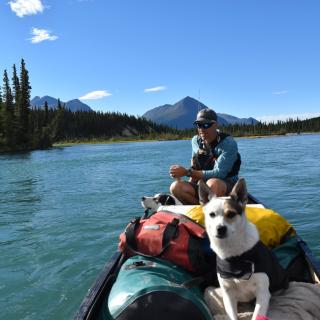 A dog and a paddler on a river
