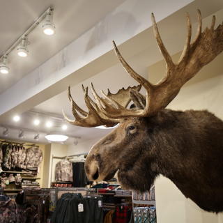 Screen Shot 2020-07-22 at 11.14.05 AM.png