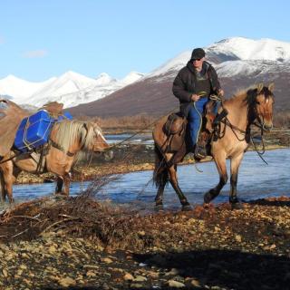 Guided horsepacking among fall colours and snow capped mountains