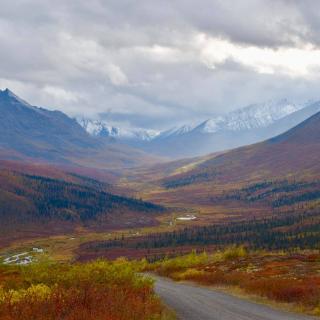 fall colours in tombstone territorial park