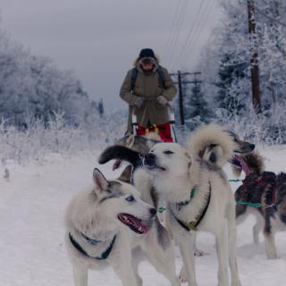 IMG_6916-min - Bertrand Bellencourt.jpg