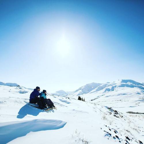 4aTombstone-arcticrangeadvtInstagram.jpg