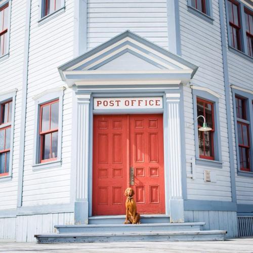 A dog sits in front of the historical Post Office 