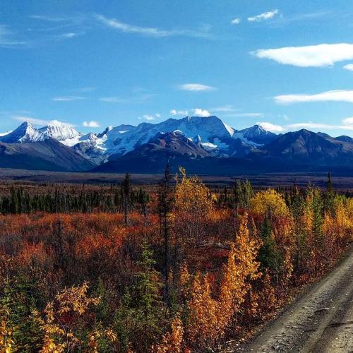 Fall foliage among snow-capped mountains