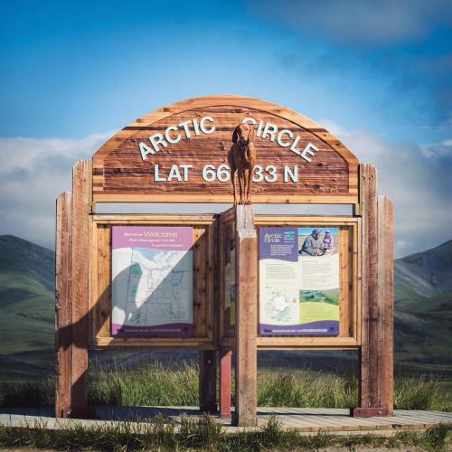 A dog perches atop the Arctic Circle sign under a blue sky