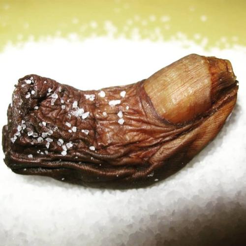 horroresrevelados-Instagram-2651-ig-1921829768631434181_9236568852-small.jpg