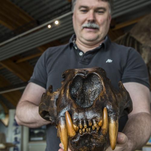 A man holds a dark brown fossilized head