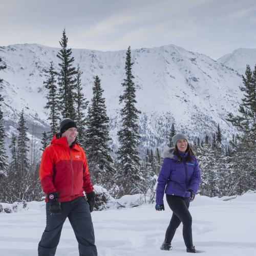 A couple snowshoes with a mountain in the background