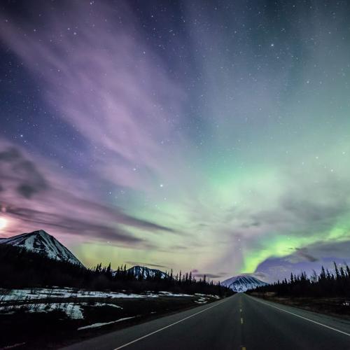 Northern lights shine above a Yukon highway