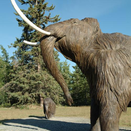 A large metal mammoth display