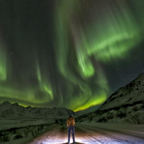 Person standing under the northern lights