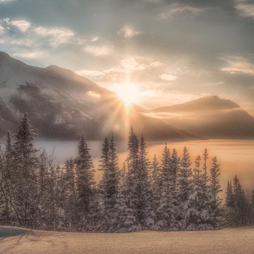 Sundog over a mountain surrounded by snowy evergreen trees