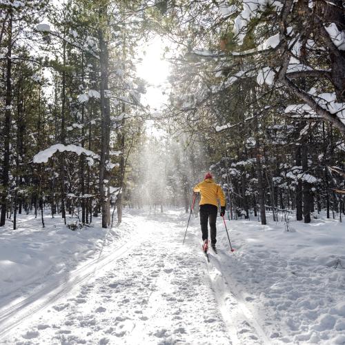 A person cross-country skis in Whitehorse