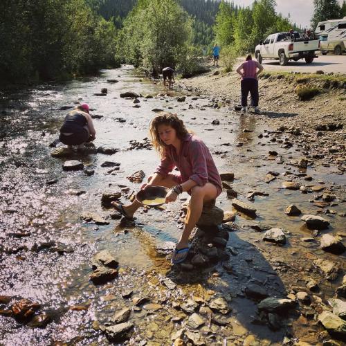 People gold panning in a creek in Dawson City