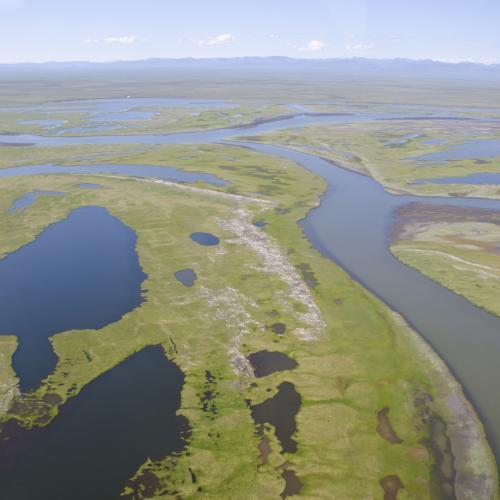 An aerial shot of Herschel Island's wetlands