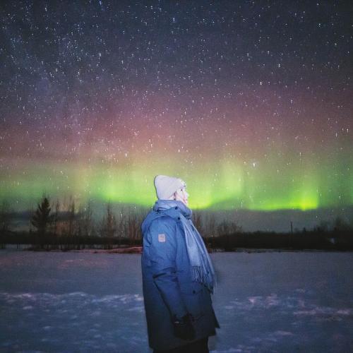 woman watching pink and green aurora in a starry sky