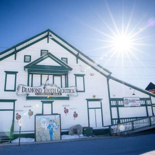 Gerties under a sunflare. 