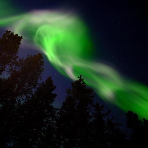 Northern lights in the Yukon Sky