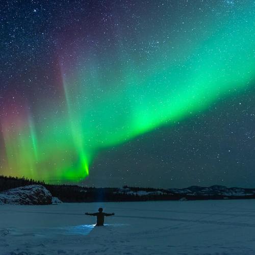 Northern lights in the Yukon sky