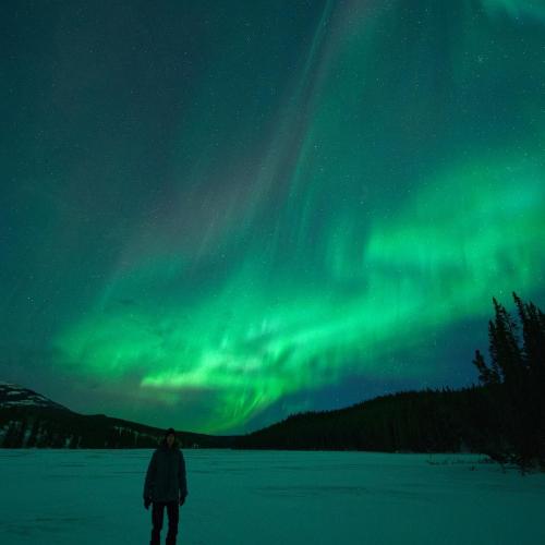A person standing under the northern lights dressed warmly