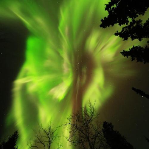 Northern lights 
