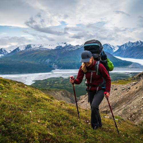 Hiking the donjek