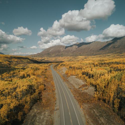 Drone shot of fall foliage near haines pass.