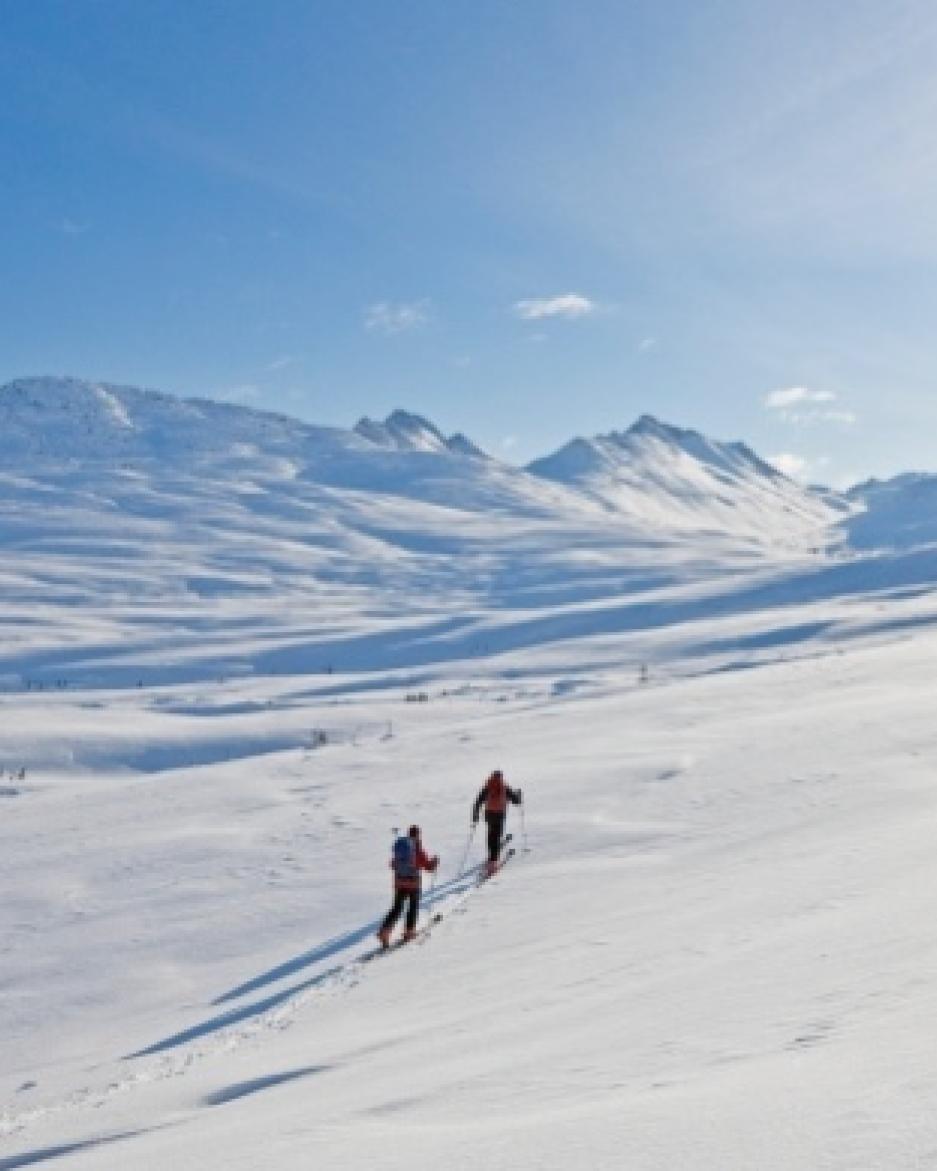 White Mountain.jpg