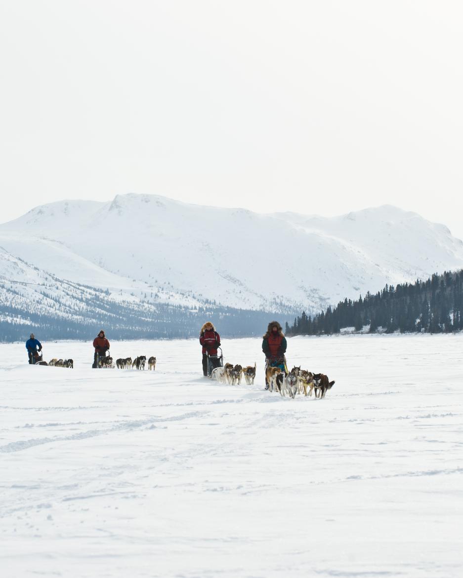 four dog teams run along a frozen lake