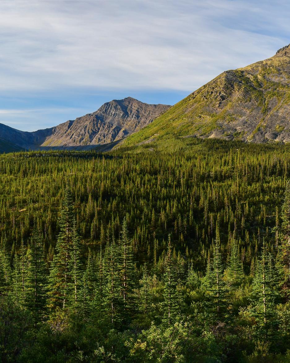 First Nation of Na-Cho Nyak Dun