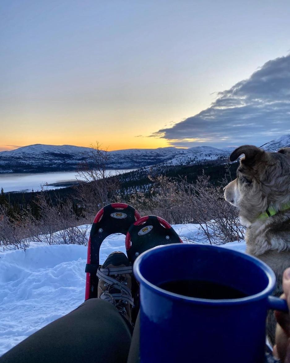 A person wearing snowshoes relaxes on top of a hill with their dog and a mug of cocoa
