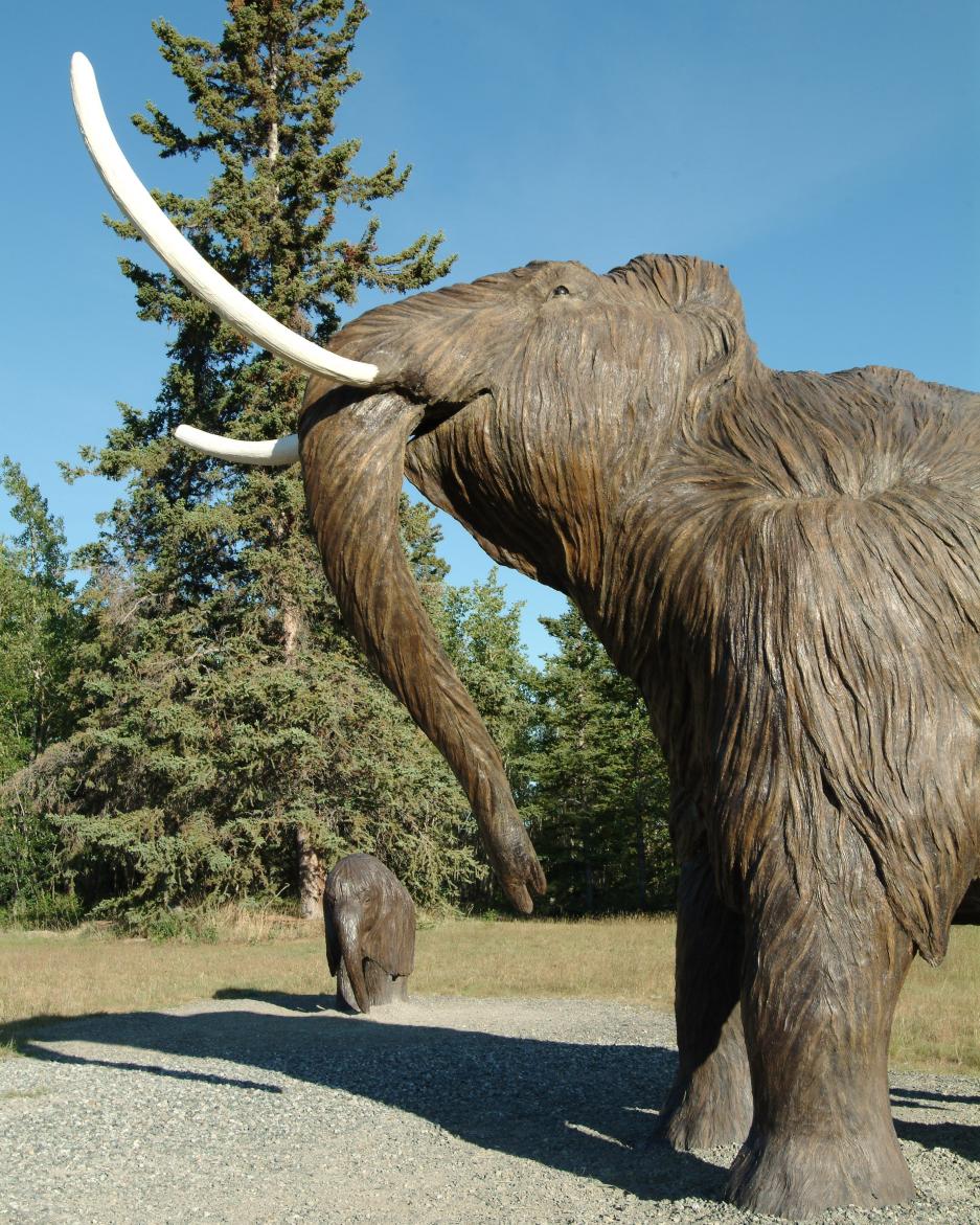A large metal mammoth display