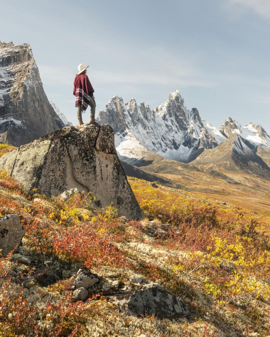 A person enjoys the view in Tombstone Territorial Park
