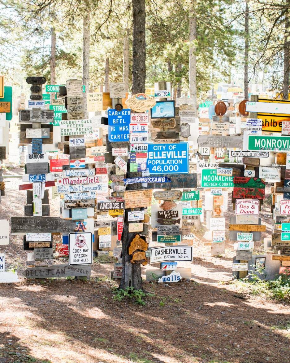 Sign post forest