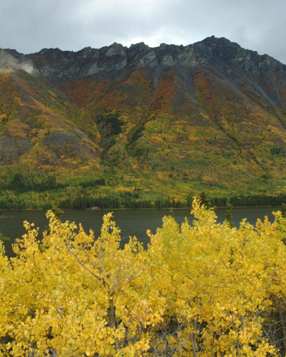 A mountain covered in the colours of autumn