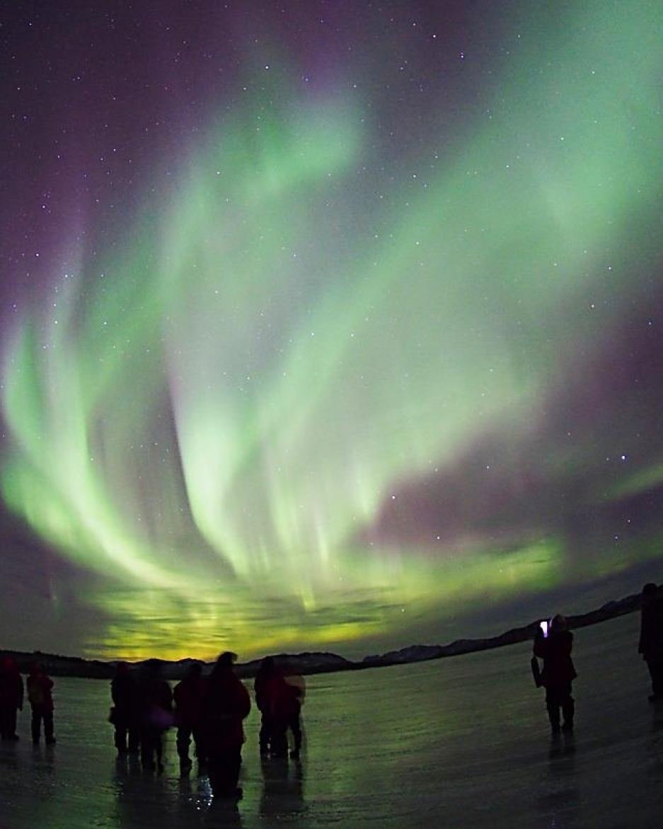 A group of people watch as bright green aurora swirls overhead