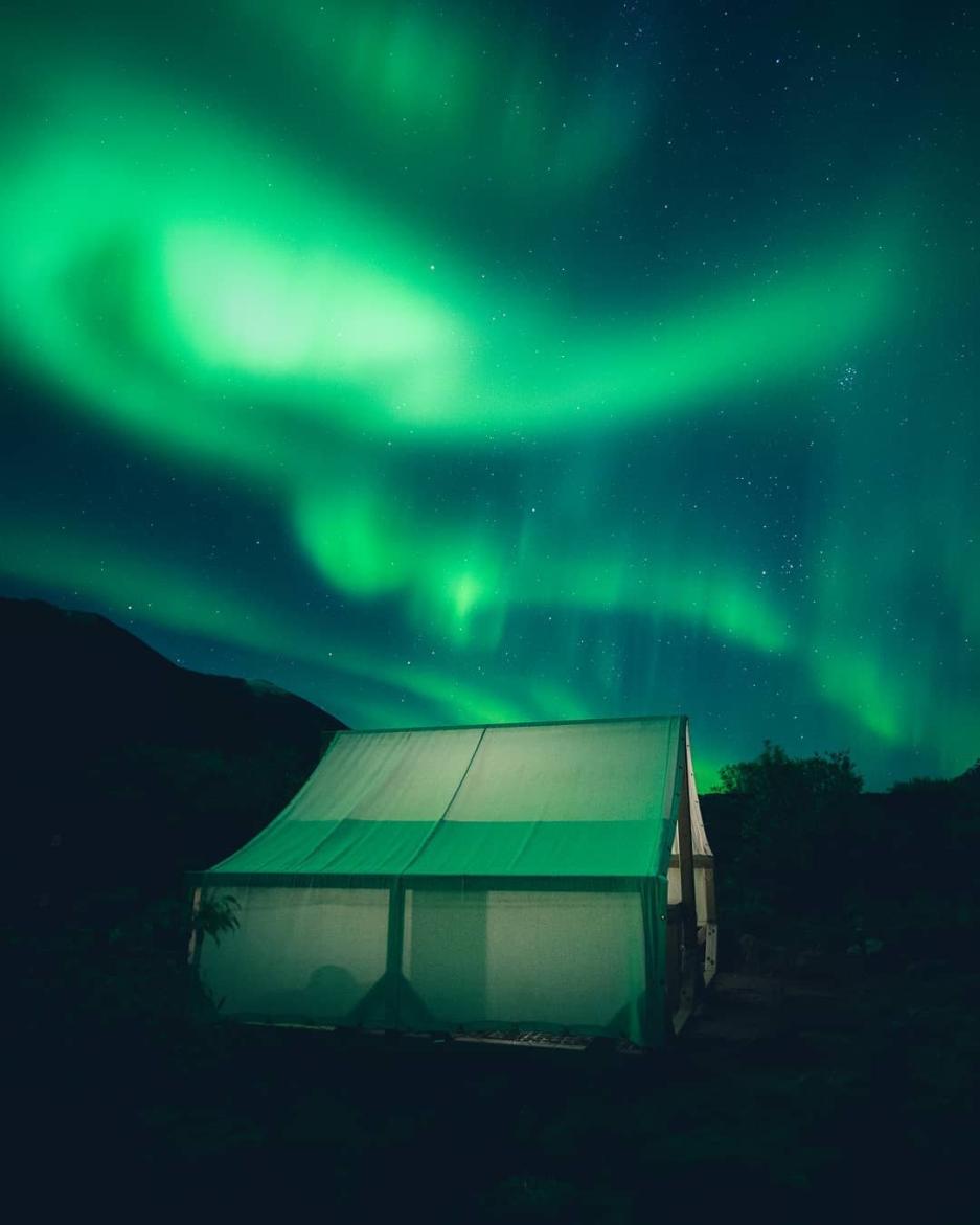 A glowing wall tent stands under the green northern lights