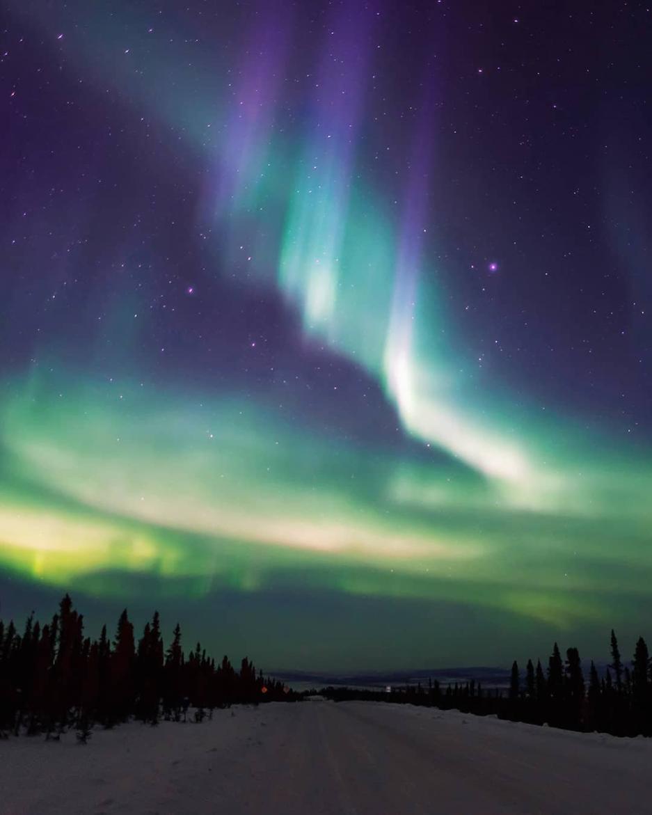 blue,green and purple northern lights dance in lines across the sky