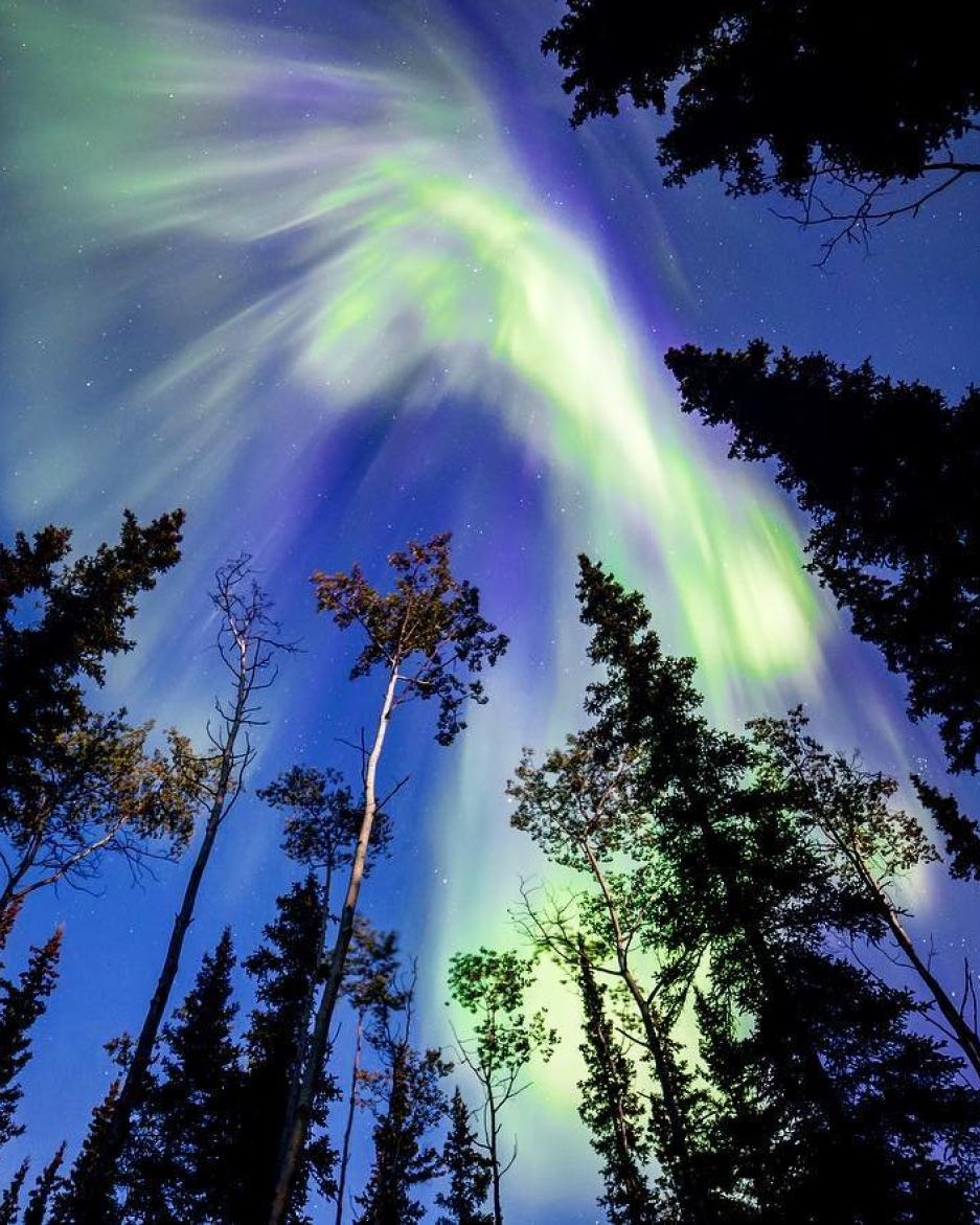 bright green and white northern lights swirl overhead