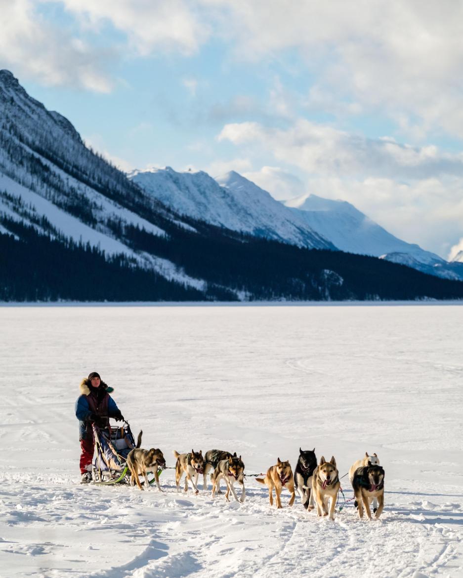 A dog team sleds across a frozen lake near large, snowy mountains